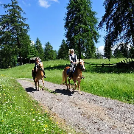 Tschögglbergerhof Jenesien