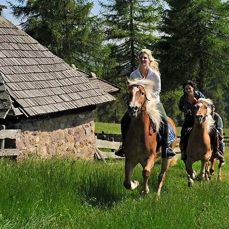 Hotel Tschögglbergerhof Jenesien