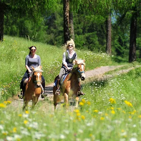 Tschögglbergerhof Jenesien