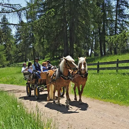 Hotel Tschögglbergerhof 3*